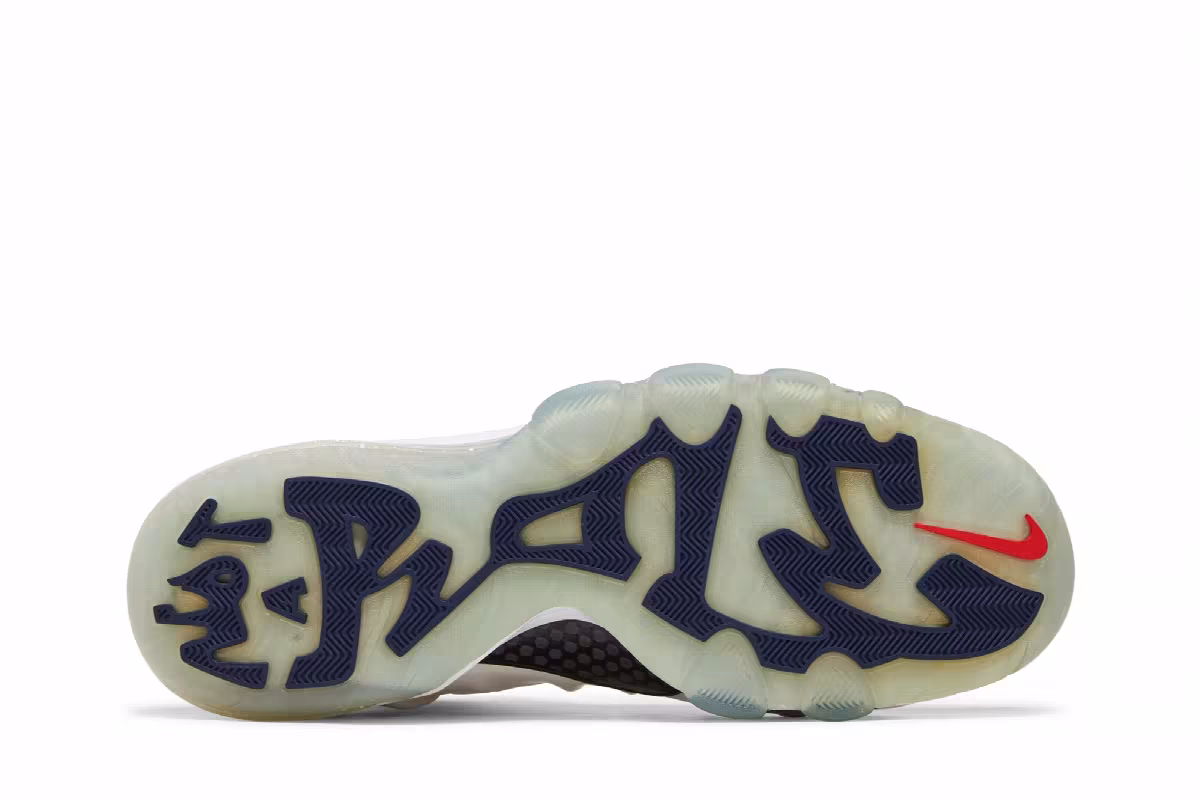 Nike Barkley Posite Max USA, view 5
