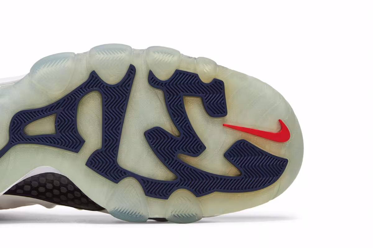 Nike Barkley Posite Max USA, view 6