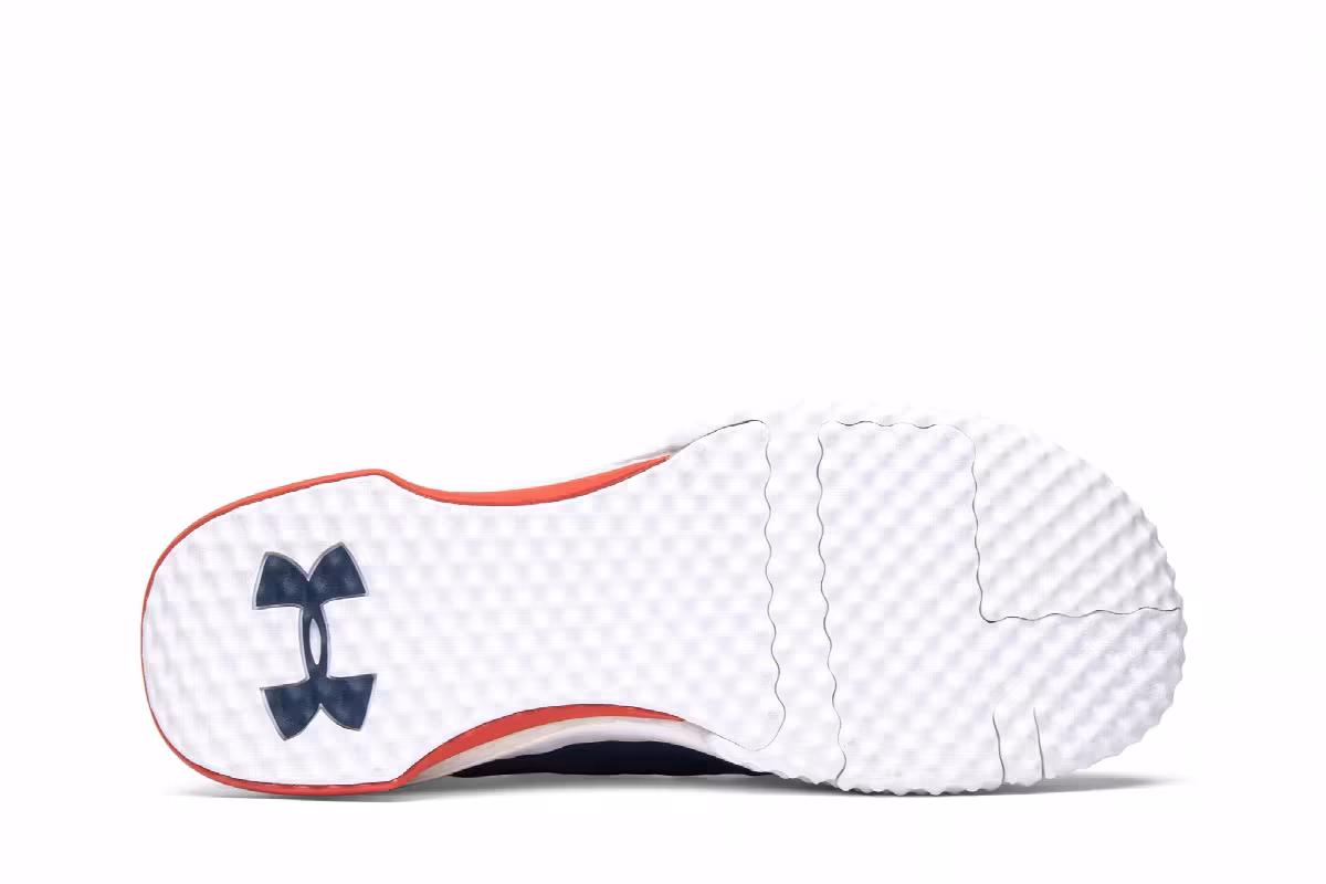 Under Armour Project Rock 1 Blue, view 5