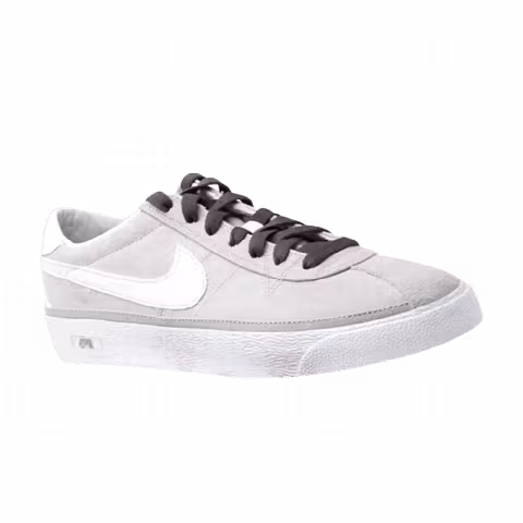Nike Zoom Bruin Sb 'Fluff Bruin'