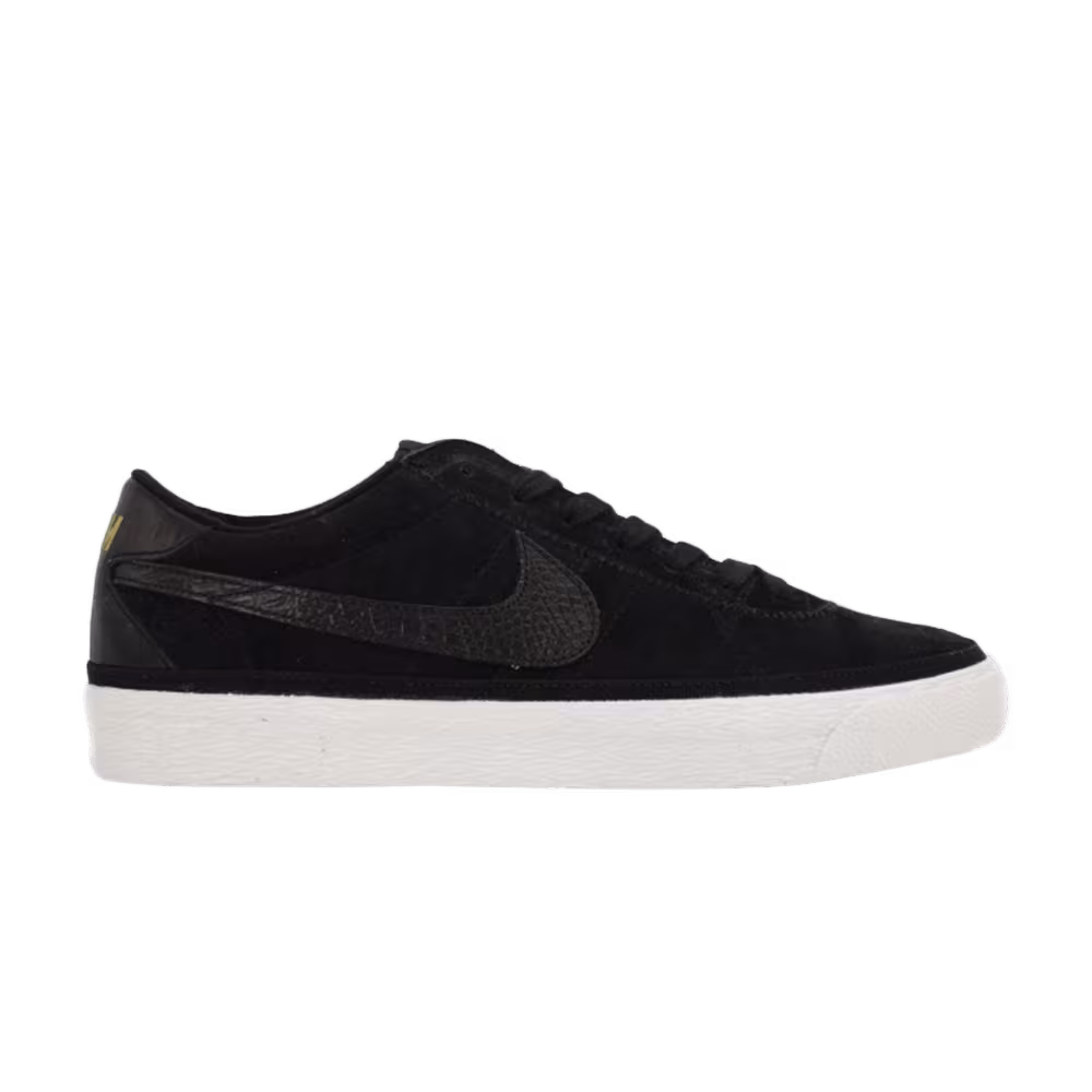 Nike Zoom Bruin SB Black History Month