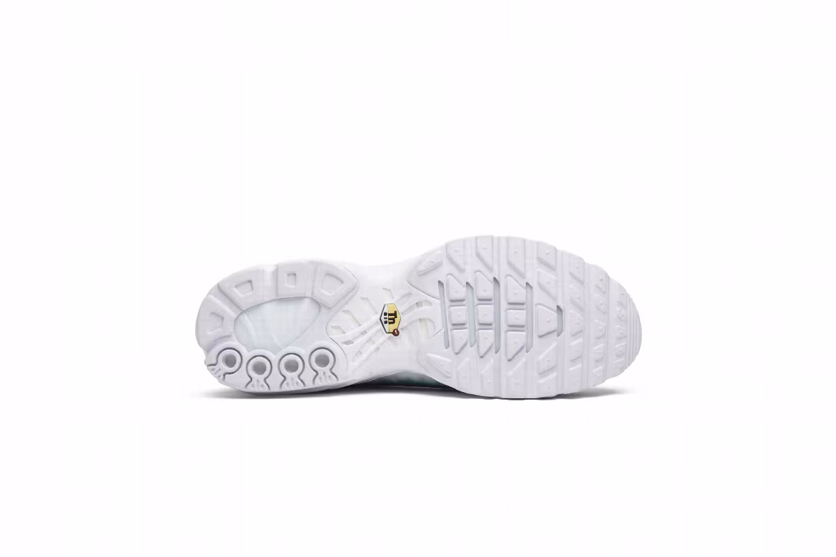 Nike Air Max Plus GPX PREM SP pool, view 5