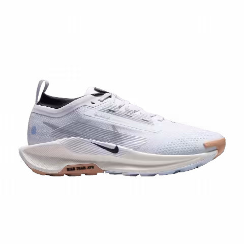 Nike Wmns Pegasus Trail 5 GTX 'White Black Sail Wolf Grey'