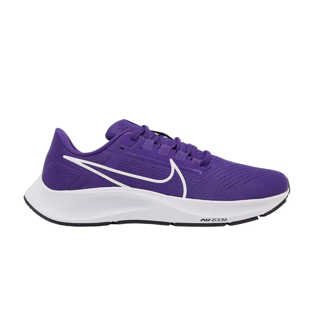 Nike Air Zoom Pegasus 38 TB Court Purple