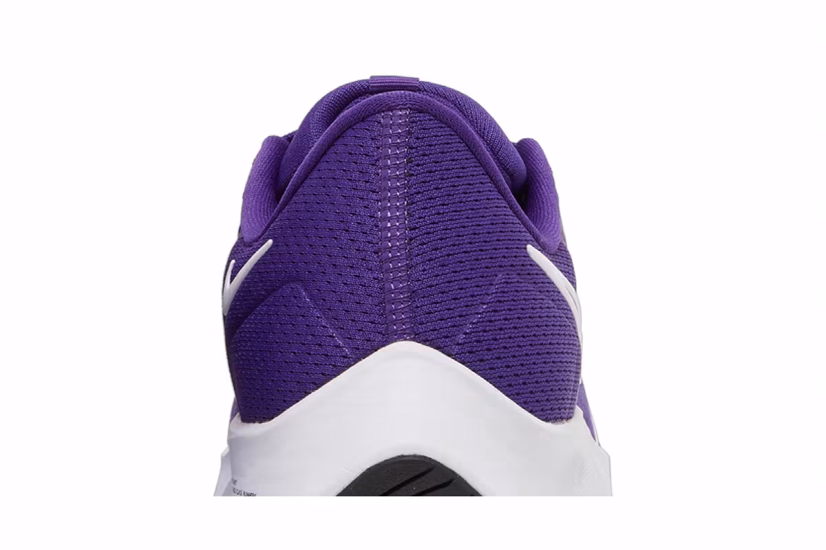 Nike Air Zoom Pegasus 38 TB Court Purple, view 8