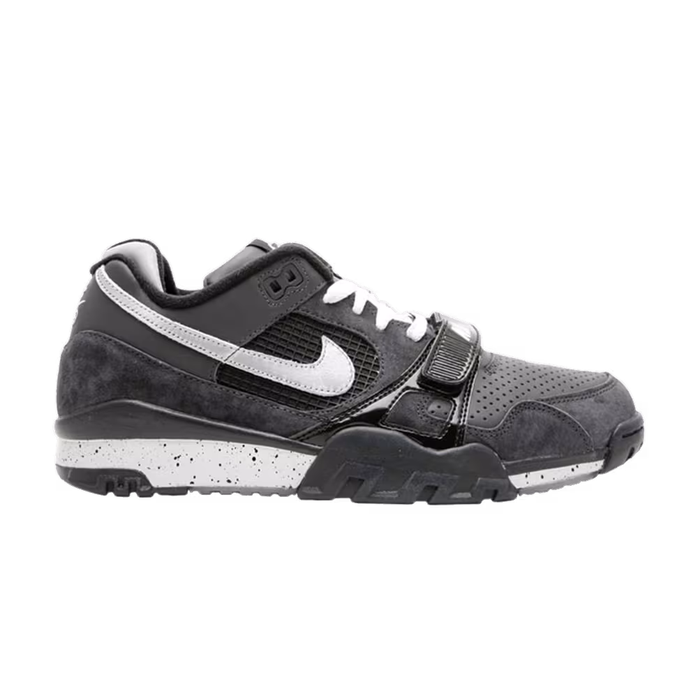 Nike Air Trainer 2 Sb