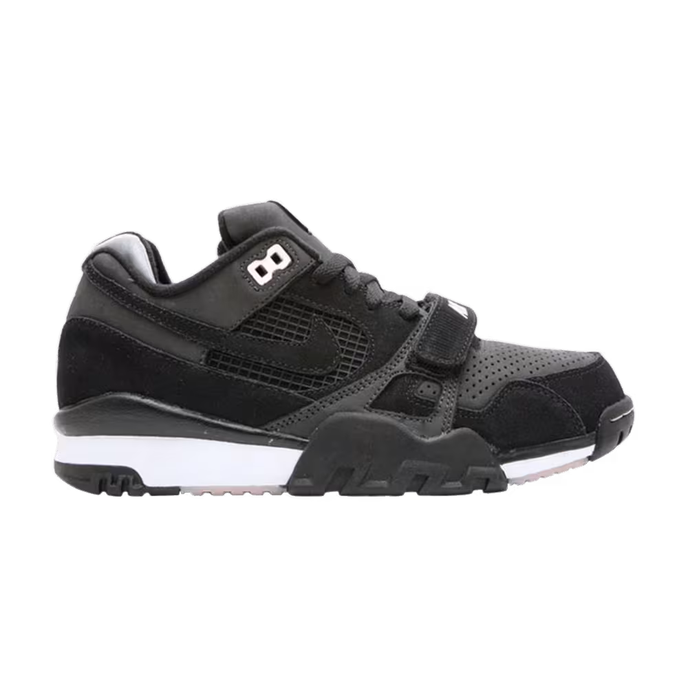 Nike Air Trainer 2 Sb