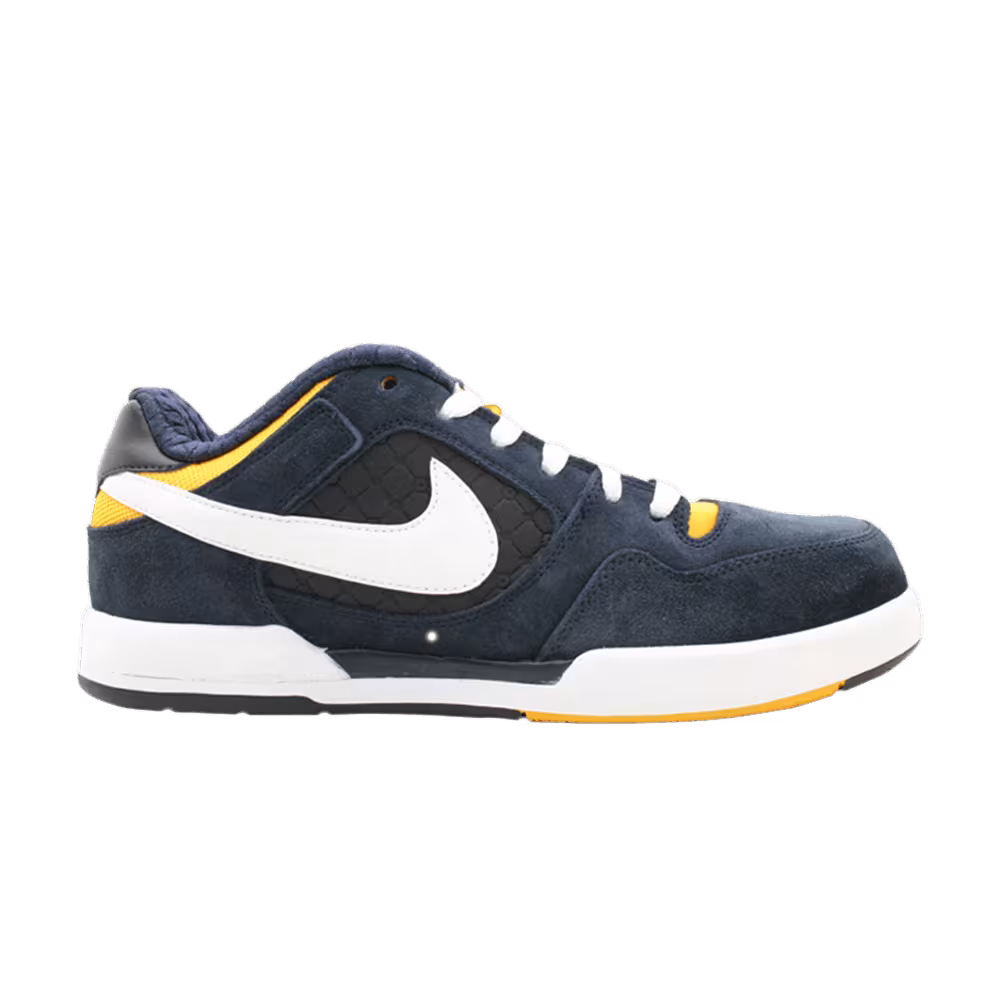 Nike Paul Rodriguez 2 Zoom Air