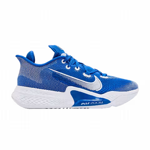 Nike Air Zoom BB NXT TB 'Game Royal'
