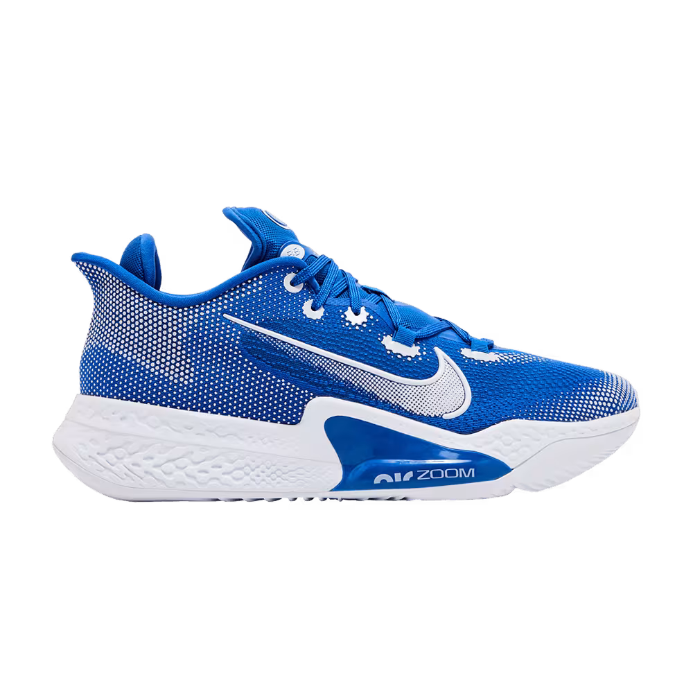 Nike Air Zoom BB NXT TB Game Royal