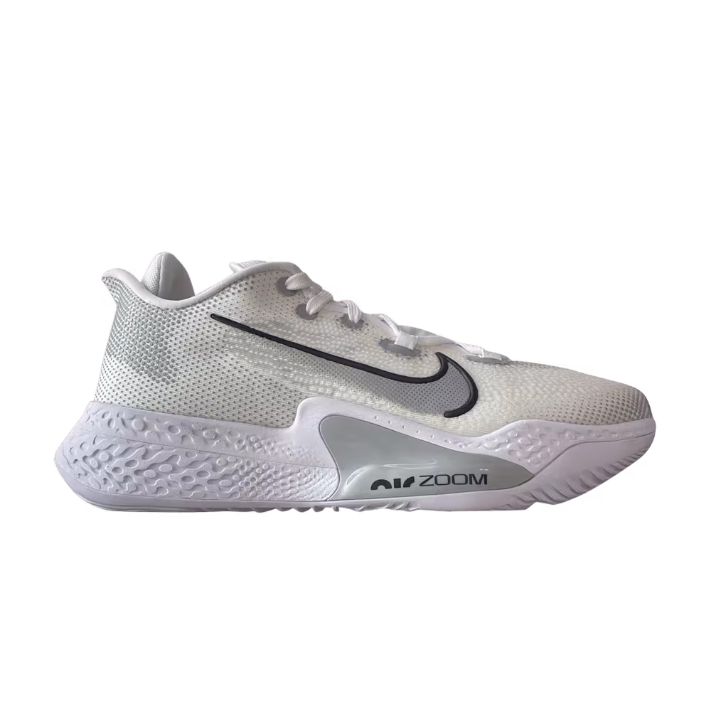 Nike Air Zoom BB NXT TB Flat Silver