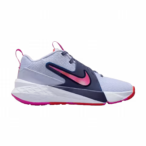 Nike Team Hustle D12 GS 'Ghost Fire Pink'