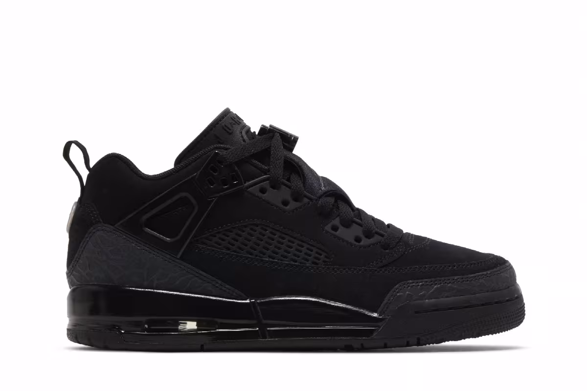 Air Jordan Spizike Low GS Black Cat, view 2