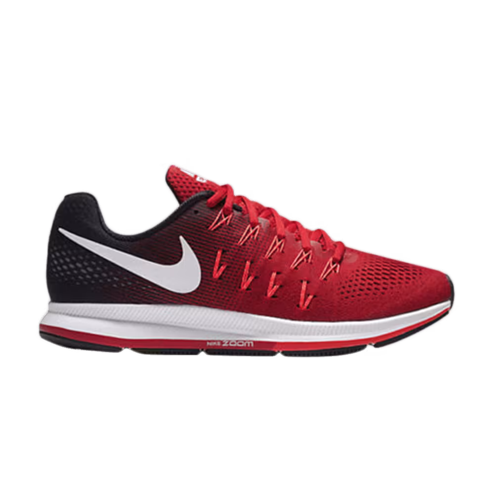Nike Air Zoom Pegasus 33