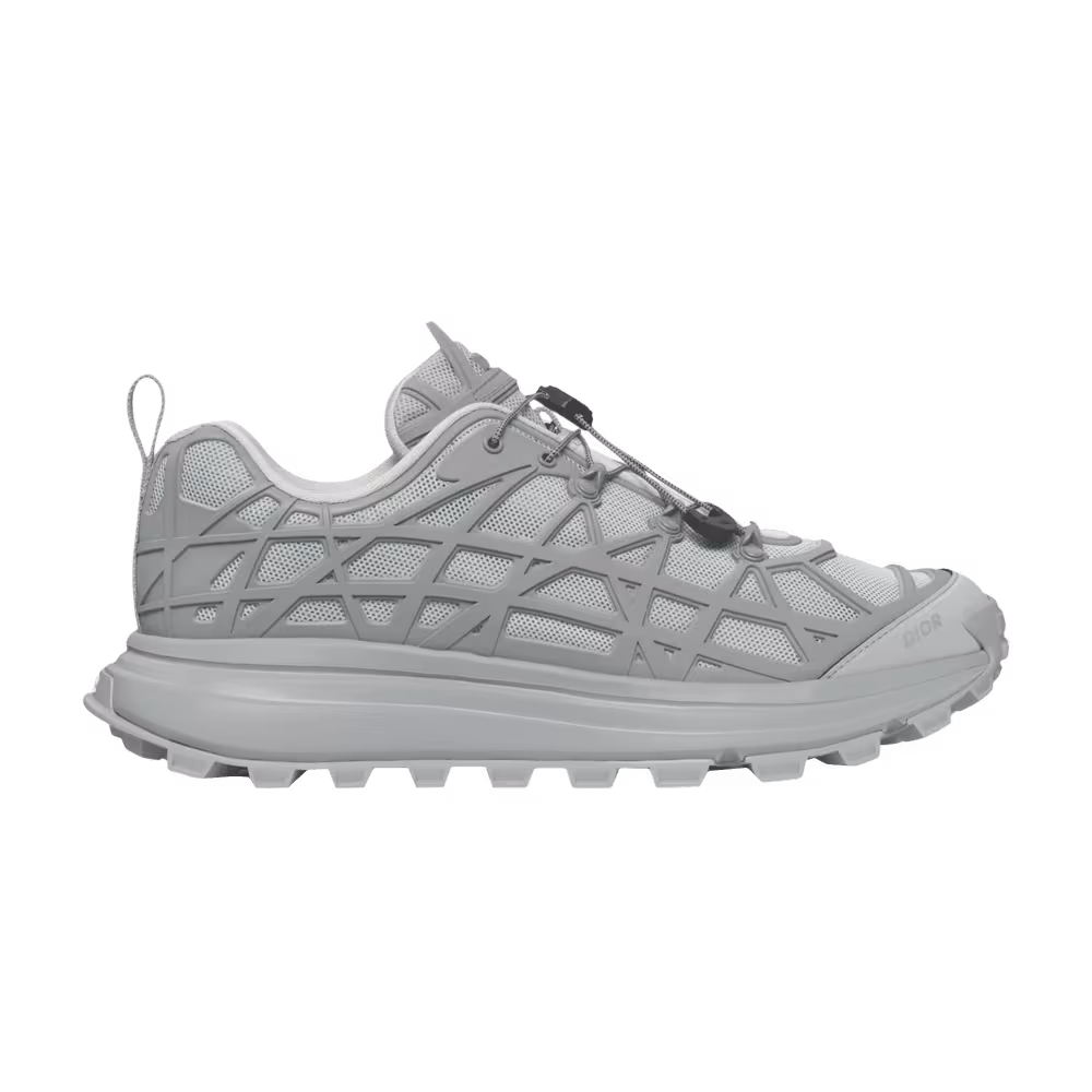 Dior B31 Runner Grey