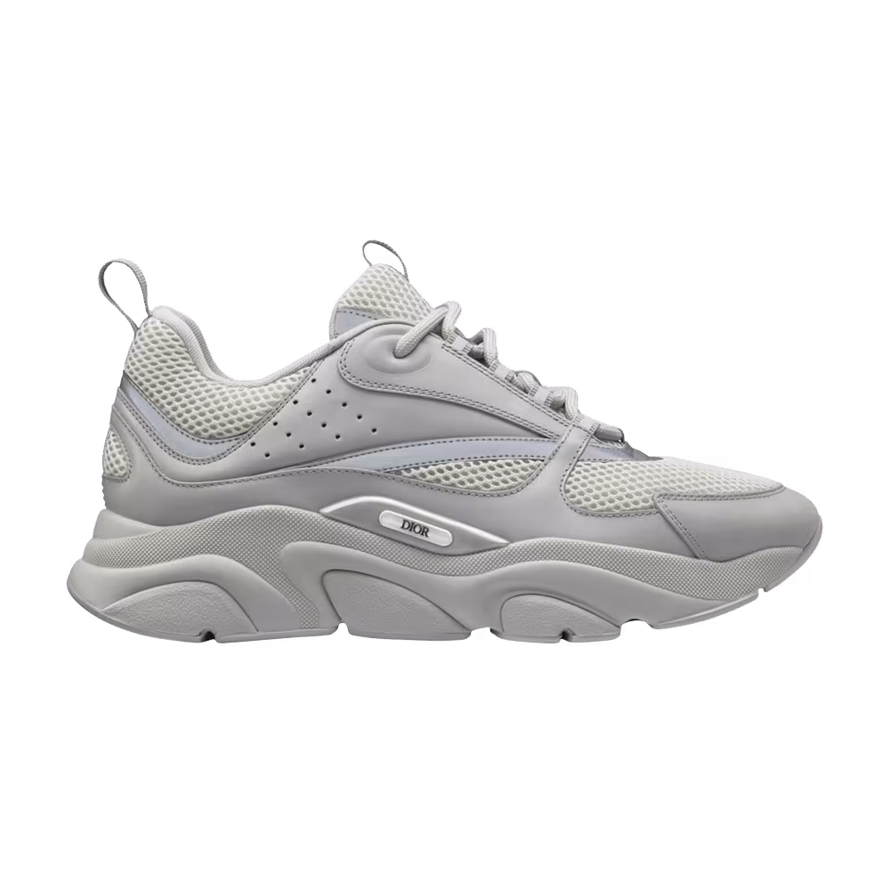 Dior B22 Grey
