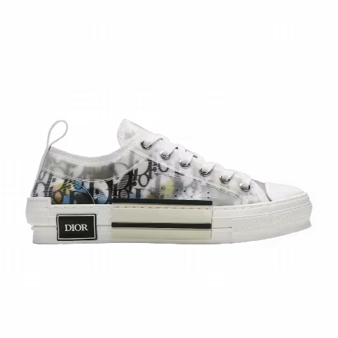 Dior B23 Low 'Dior Oblique - Alex Foxton Print'