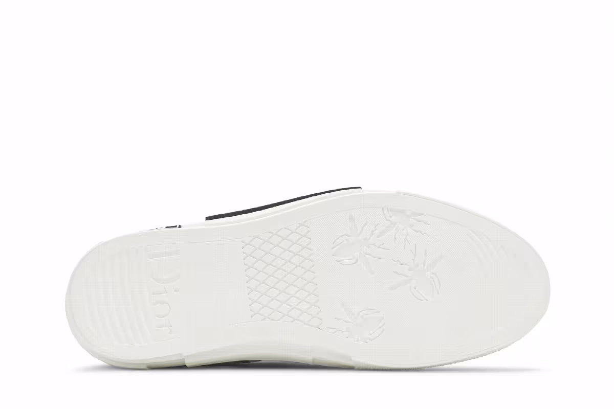 Dior B23 Low Dior Oblique - Alex Foxton Print, view 5
