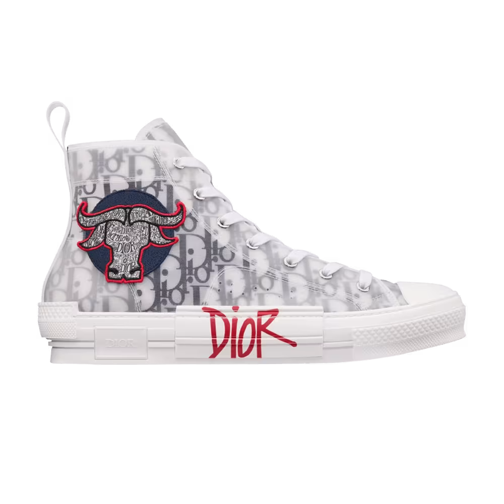 Shawn Stussy x Dior B23 High Ox Head Embroidery Patch
