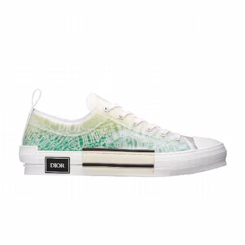Dior B23 Low 'Dior and Shawn Print'