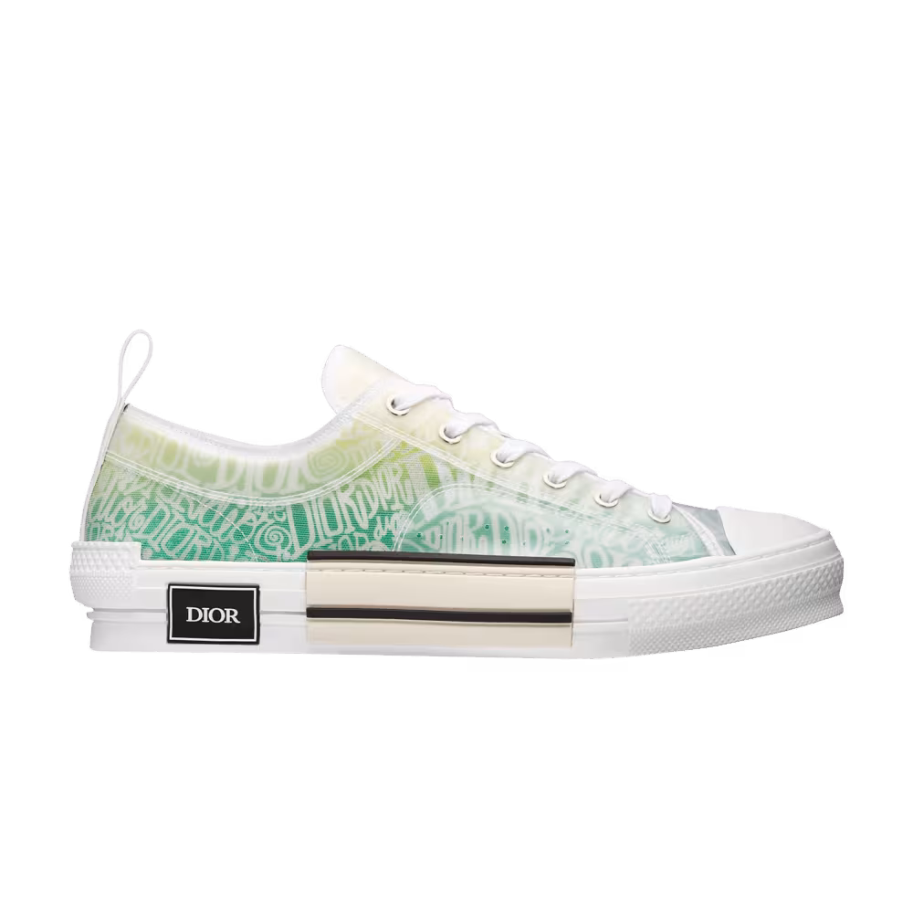 Dior B23 Low Dior and Shawn Print