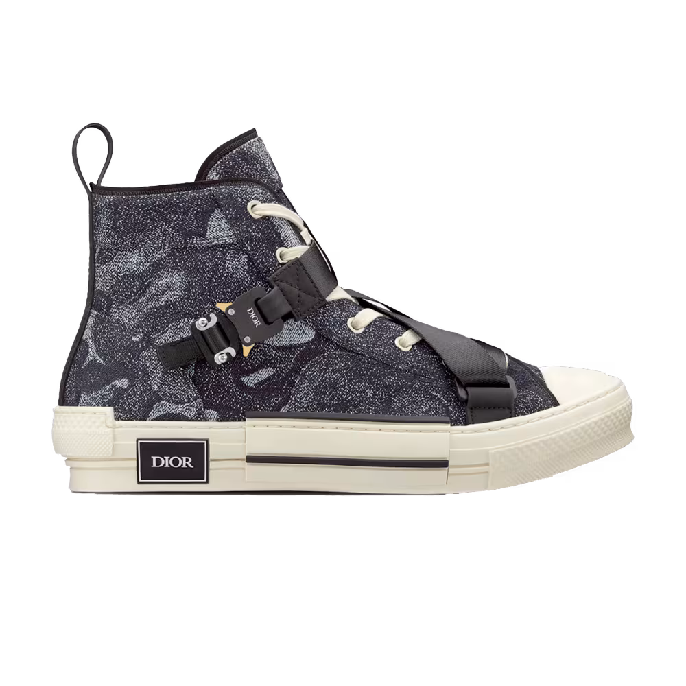 Peter Doig x Dior B23 High Black Beige