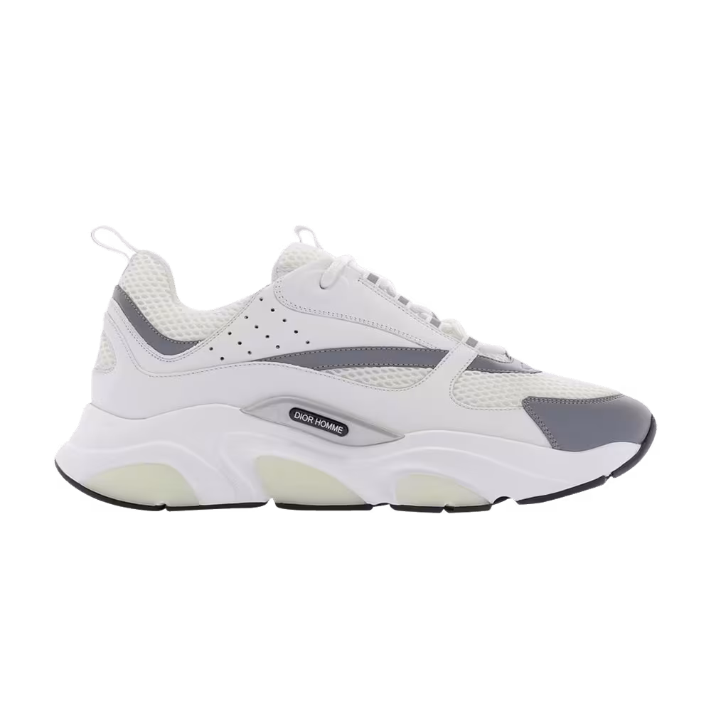 Dior B22 White Grey