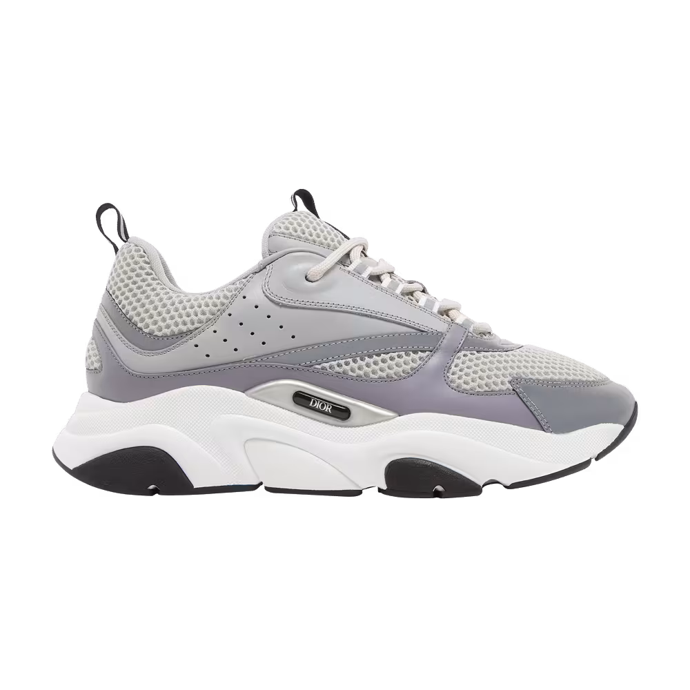 Dior B22 Grey