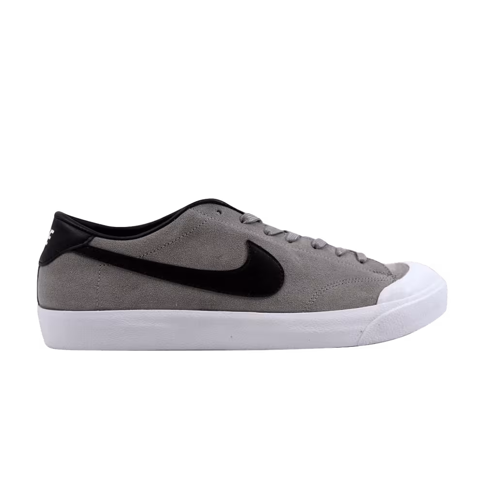 Nike Zoom All Court CK Dust
