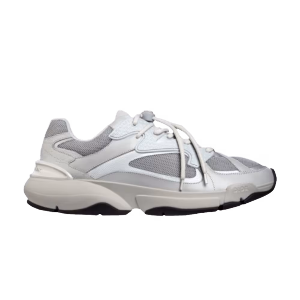 Dior B24 Grey
