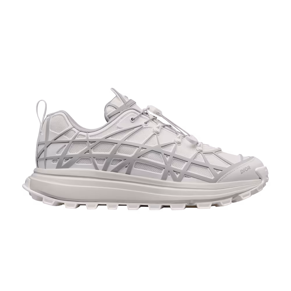 Dior B31 Runner White Grey