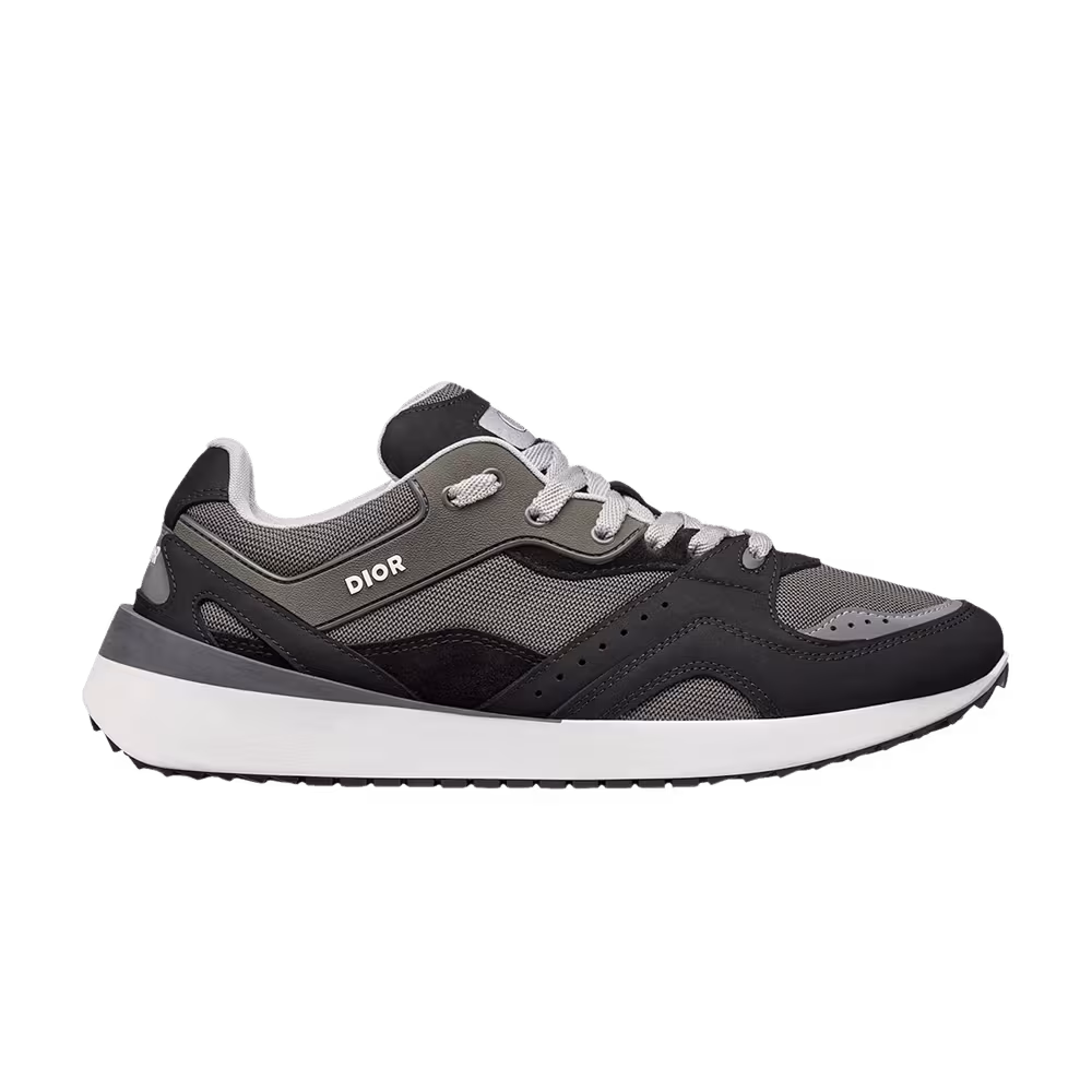 Dior B29 Grey Black