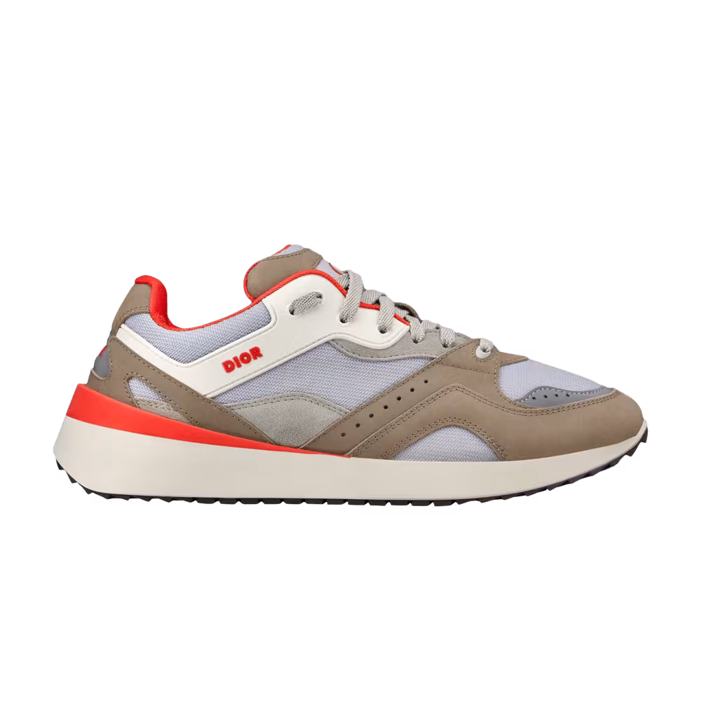 Dior B29 Grey Brown
