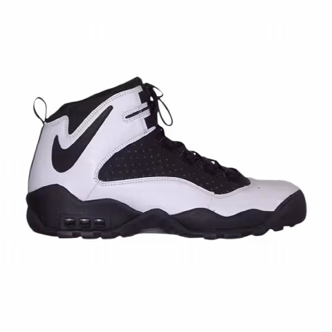 Nike Air Darwin High 'Black White'