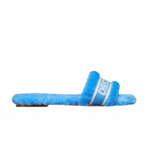 Dior Wmns Chez Moi Slide 'Dynamic Blue'