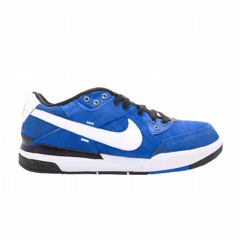 Nike Zoom Paul Rodriguez 3