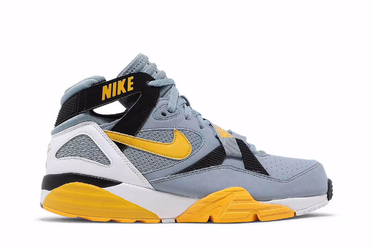 Nike Air Trainer Max 91 bo jackson, view 2