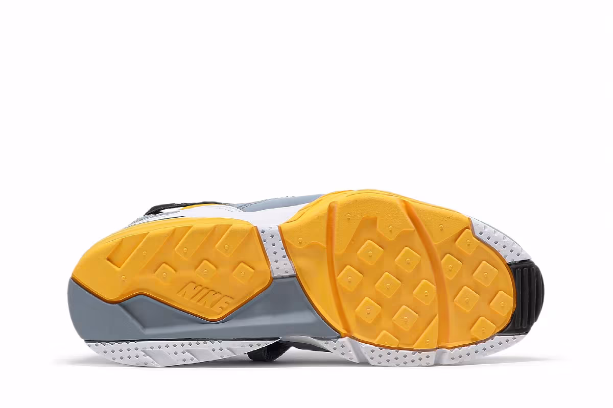 Nike Air Trainer Max 91 bo jackson, view 5