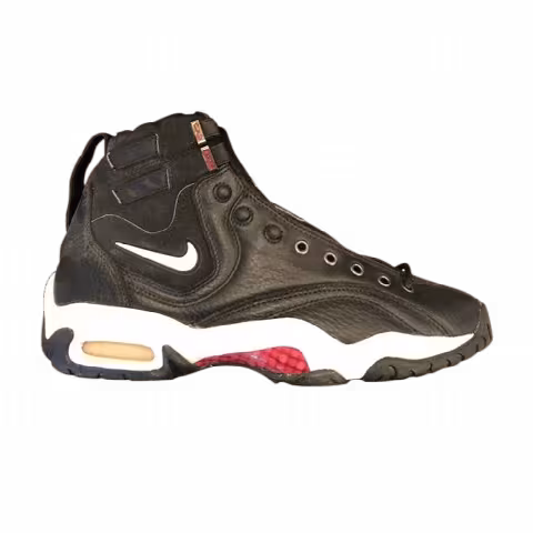 Nike Air Alonzo