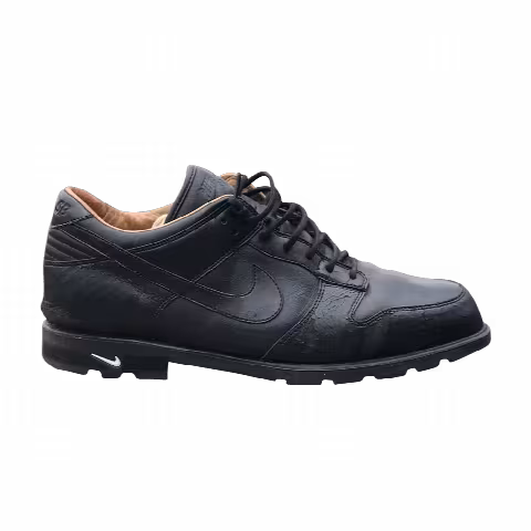 Nike Golf Dunk SB Low 'Black'