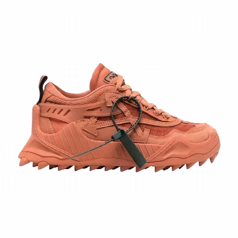 Off-White Wmns ODSY-1000 'Terracotta'