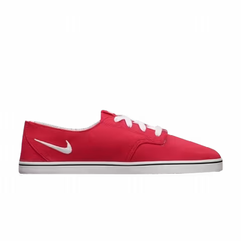 Nike Wmns Braata Lite 6.0 SB 'Pink'