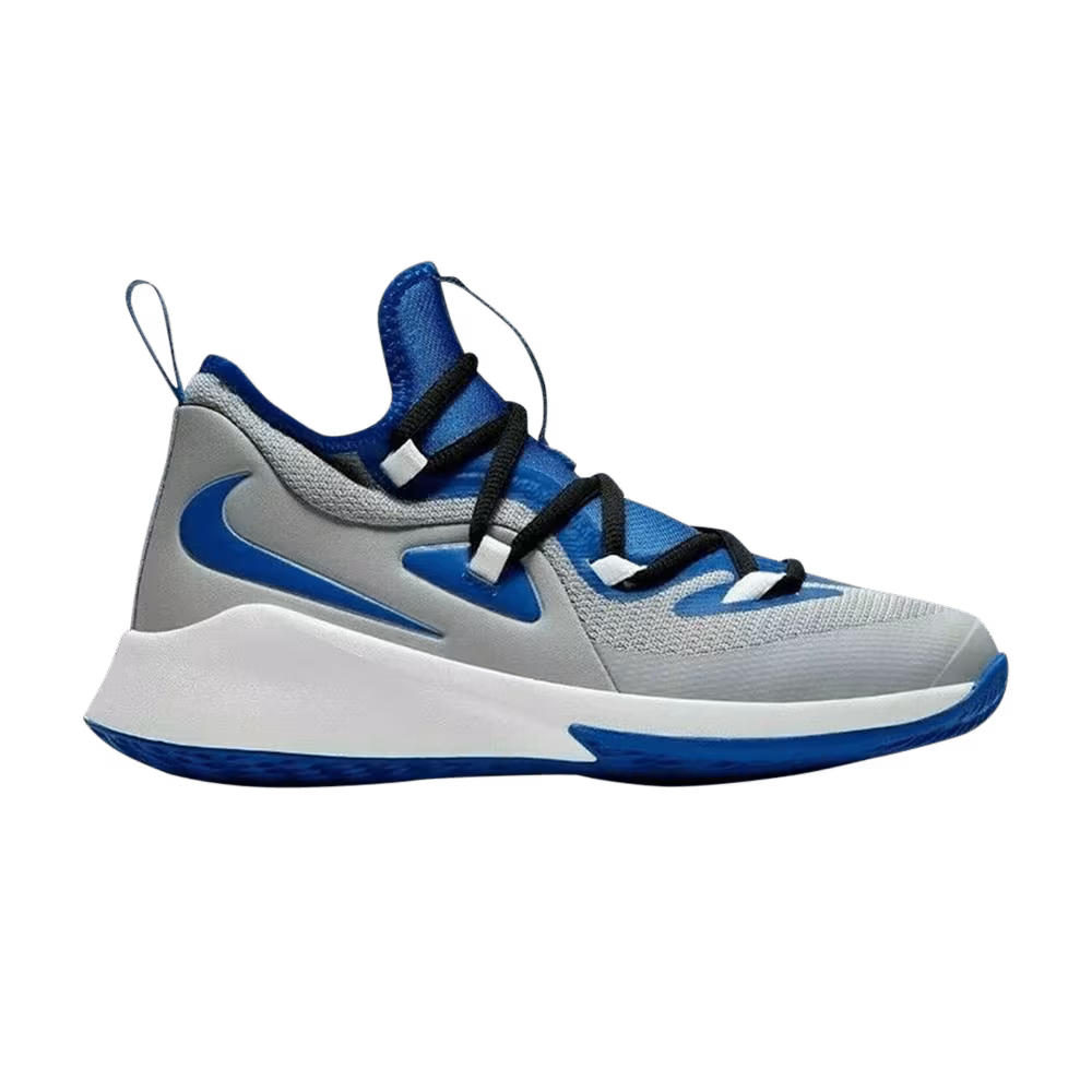 Nike Future Court 2 GS Grey Blue