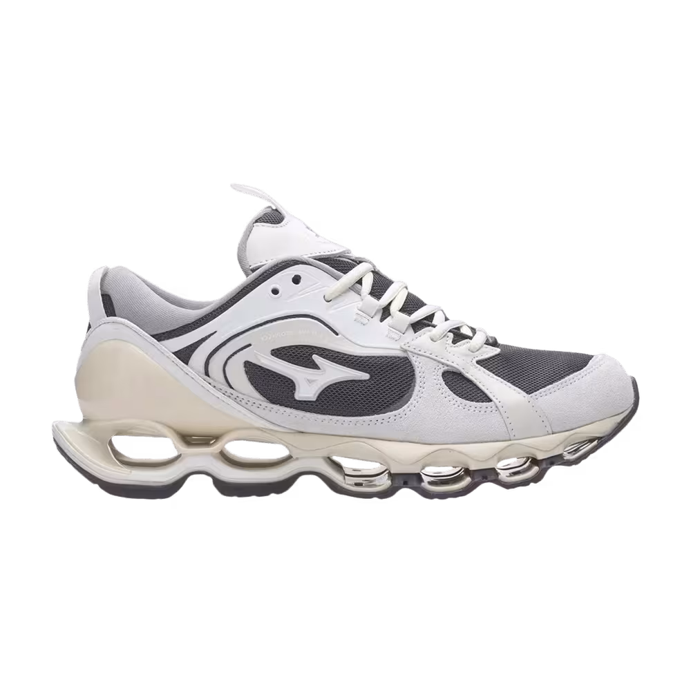 Mizuno Wave Prophecy Beta 2 Dark Shadow