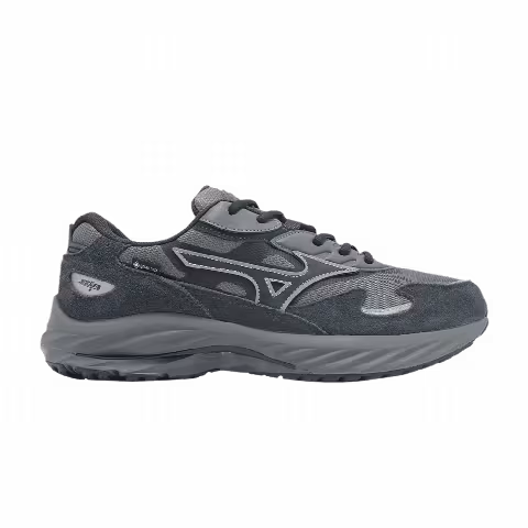 Mizuno Wave Rider Beta GORE-TEX 'Quiet Shade Vulcan'