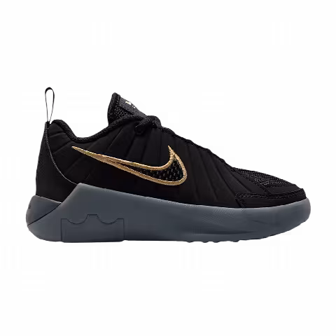 Nike Lebron Witness 9 PS 'Black Iron Grey'
