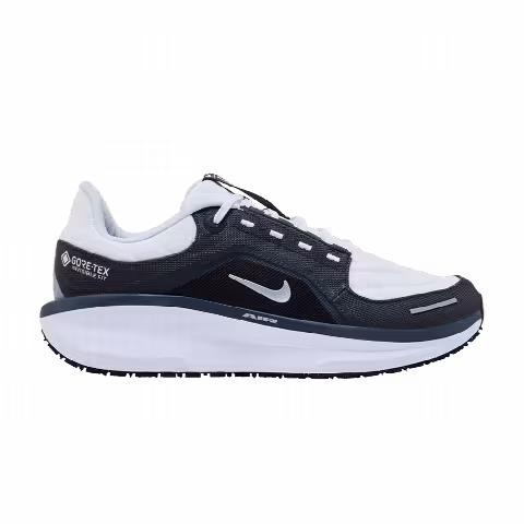 Nike Air Winflo 11 GORE-TEX 'Anthracite'