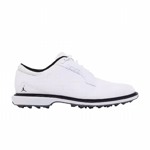 Air Jordan ADG 5 'White Black Pure Platinum'