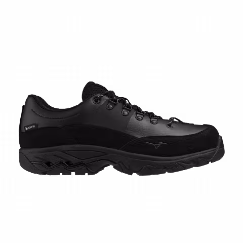 Mizuno Wave OD GORE-TEX 'Black'