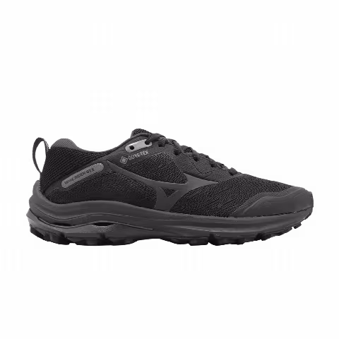 Mizuno Wmns Wave Rider GORE-TEX 'Black'